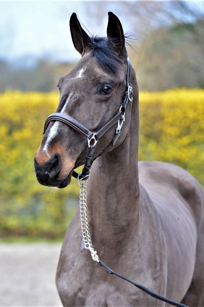 delorean-key-sr-z-54 delorean-key-sr-z-54