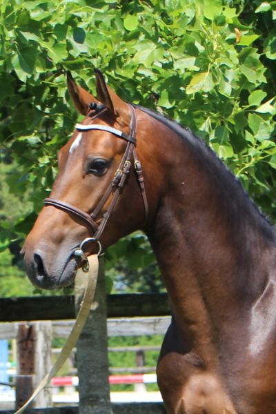 globe-de-riverland-79 globe-de-riverland-79