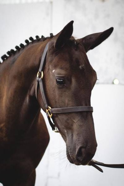 d-boleybawn-2 d-boleybawn-2