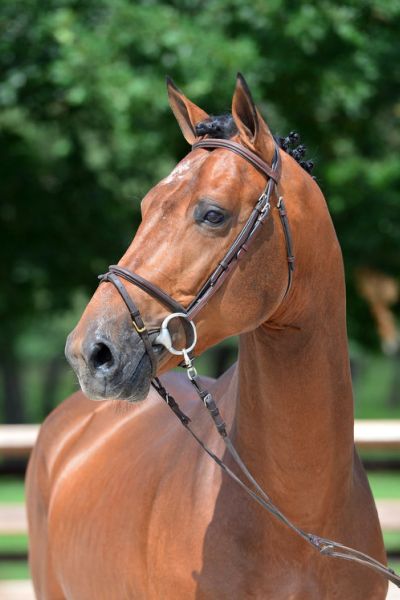 20200710-ga76094-rolling-stone-13 20200710-ga76094-rolling-stone-13