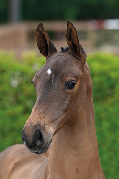 45 Countdown JT Z 45 Countdown JT Z