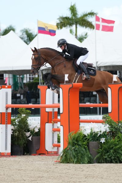 Dieu Merci van T&L Z Dieu Merci van T&L Z