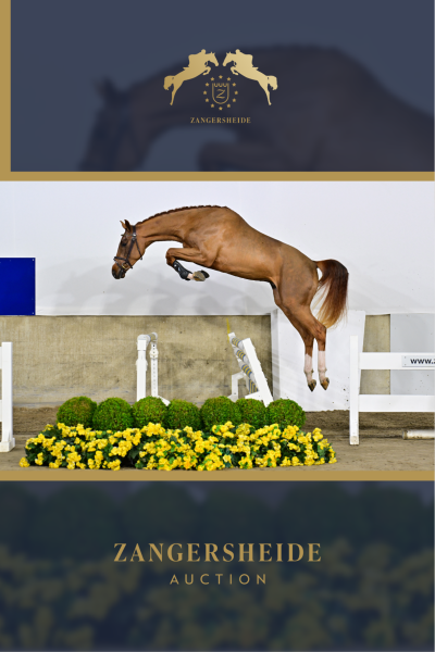 Chouffe van 't Hoogeinde Z