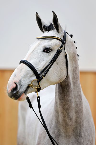 ESPERANZA Z 4 ESPERANZA Z 4