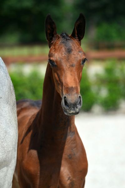 20200718-ga79743-1 20200718-ga79743-1