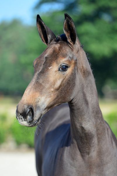 20200718-ga78449-1 20200718-ga78449-1