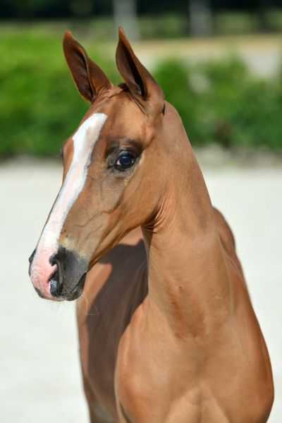 20200718-ga78904-1 20200718-ga78904-1