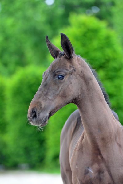 17-2020-03-08-20200523-ga72578-1 17-2020-03-08-20200523-ga72578-1