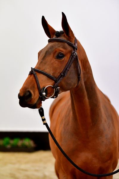 20191107-ga63928 20191107-ga63928