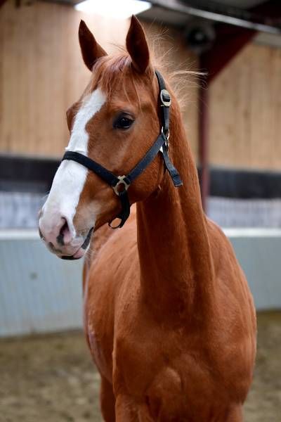 20180404-ga65233 20180404-ga65233