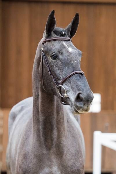 2018314-03-18-a-64182 2018314-03-18-a-64182