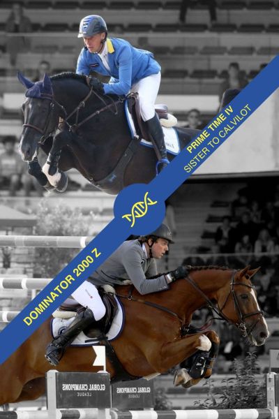 Embryo Dominator x Prime Time IV Embryo Dominator x Prime Time IV