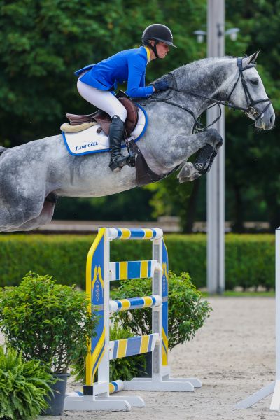 Zangersheide QA - powered by MBA  Sold for € 1.000.000 Codex Diaz Z