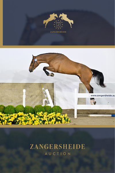 Chill Out Zoetendaele Z