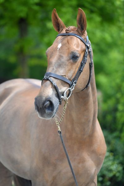 elka-de-la-pomme-25 elka-de-la-pomme-25