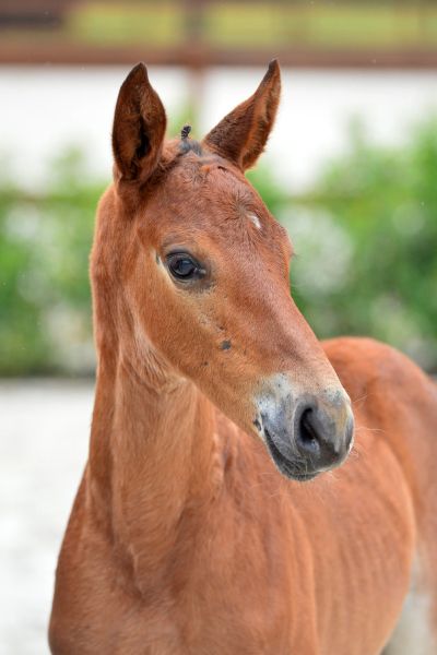 20200725-ga77525-1 20200725-ga77525-1