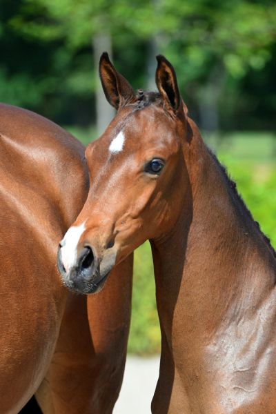 10-20200613-ga76382-1 10-20200613-ga76382-1