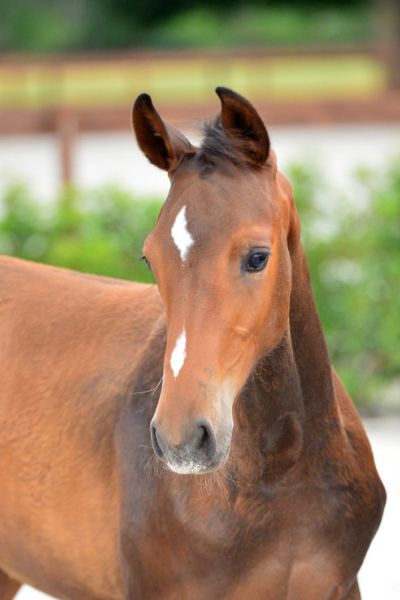 20200725-ga77199-1 20200725-ga77199-1