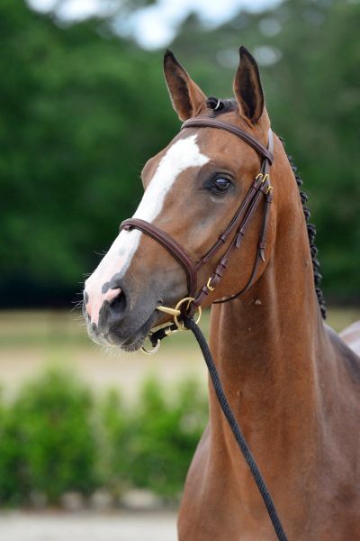 20200710-ga75949-diablo 20200710-ga75949-diablo