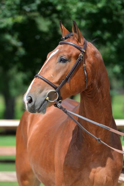 20200710-ga76132-zenith 20200710-ga76132-zenith