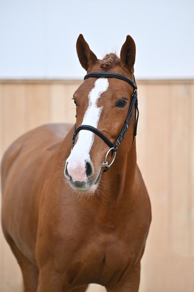 Lausanne Z Lausanne Z