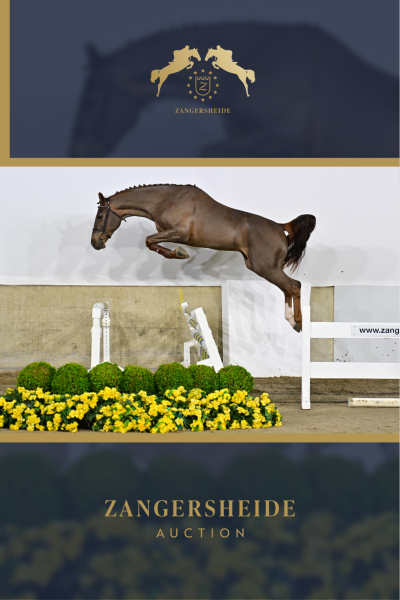 Asap van de Padenborre