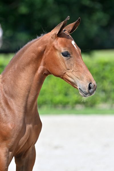 call-me-funky-z call-me-funky-z