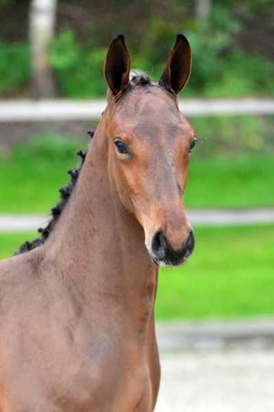 20200704-ga77650-1 20200704-ga77650-1