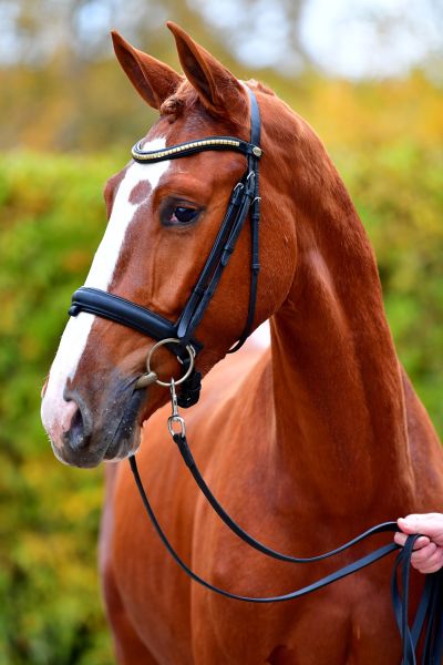 martini20191107-ga61842 martini20191107-ga61842