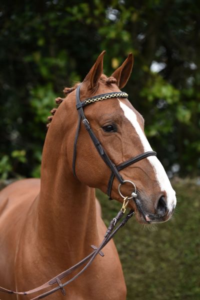 quality-vl-14 quality-vl-14