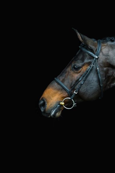 Codex One Z Codex One Z