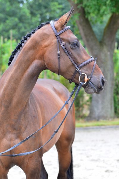 004-20190717-ga79139 004-20190717-ga79139