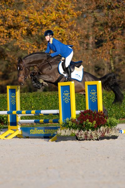 Gran Diablo Viktory Z Gran Diablo Viktory Z