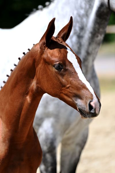 DSC_8979 odette DSC_8979 odette