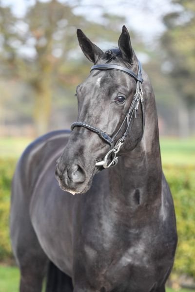 dwisty-boy-du-reveil-z dwisty-boy-du-reveil-z