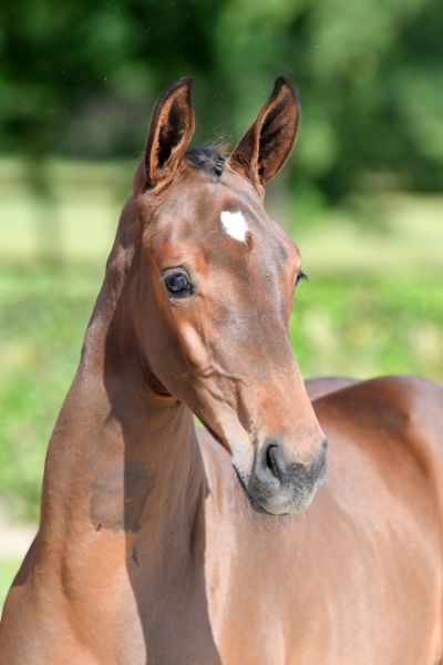 20210619-ga60728-2-large-87 20210619-ga60728-2-large-87