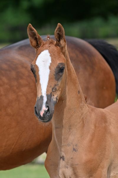 20210626-ga75863-large 20210626-ga75863-large