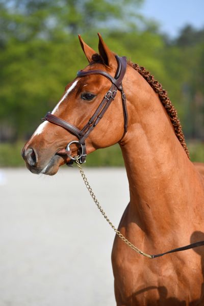 im-the-best-des-guy-78 im-the-best-des-guy-78