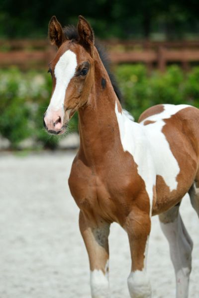 20200726-ga79639-1 20200726-ga79639-1