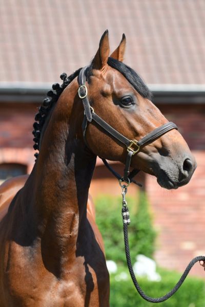 20200624-ga67466-attack 20200624-ga67466-attack