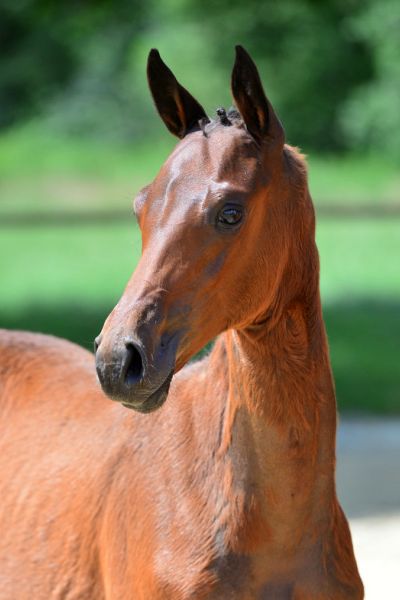 chica-bonita-1 chica-bonita-1