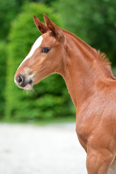 19-2020-03-08-20200523-ga72755-1 19-2020-03-08-20200523-ga72755-1