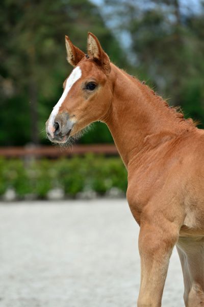 13-2020-03-08-20200523-ga72157-1 13-2020-03-08-20200523-ga72157-1