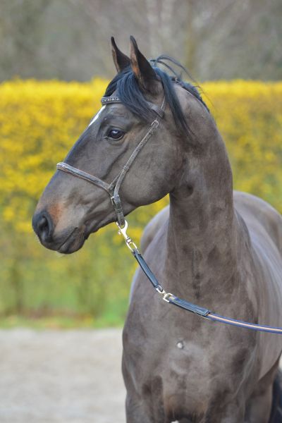 taloubet-pur-u-z-66 taloubet-pur-u-z-66