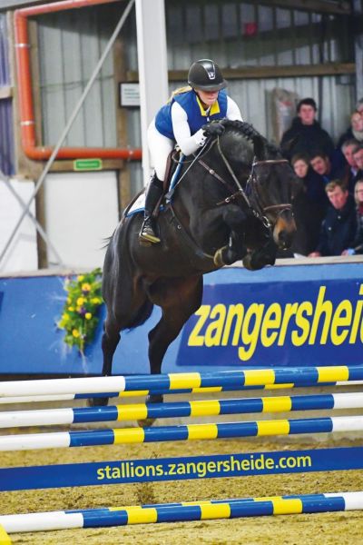 paard-querido-z-2-large paard-querido-z-2-large