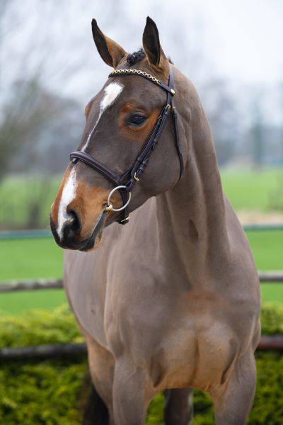 ga69277-charming-touch ga69277-charming-touch