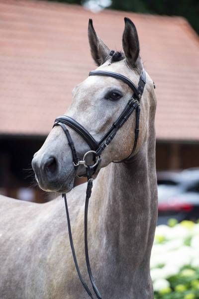 treasure-2 treasure-2