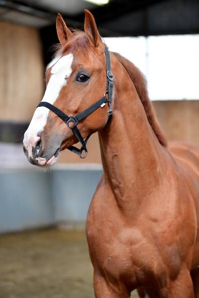 20180404-ga65008 20180404-ga65008