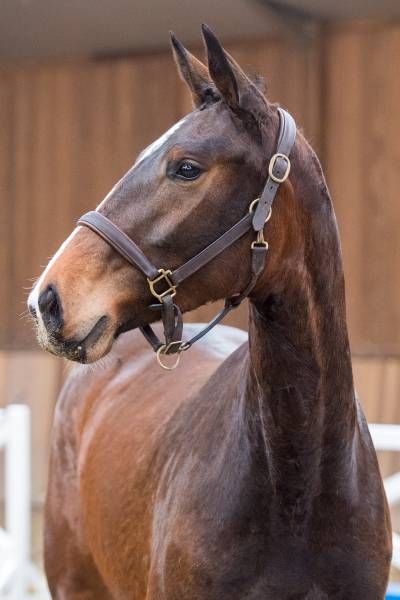 2018314-03-18-a-64436 2018314-03-18-a-64436