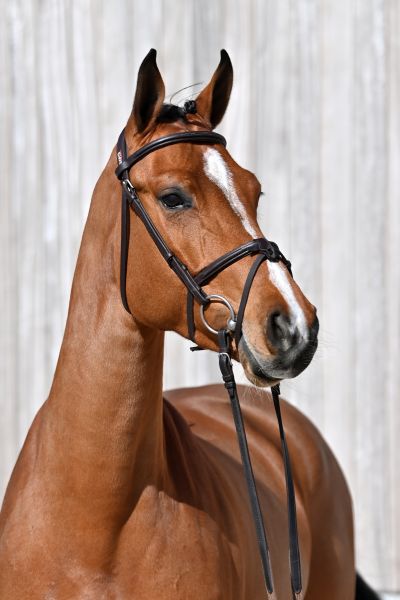 viandra-ps-78 viandra-ps-78